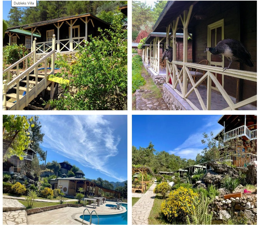 QUADRA - BÜTÜNLÜĞE UYANIŞ